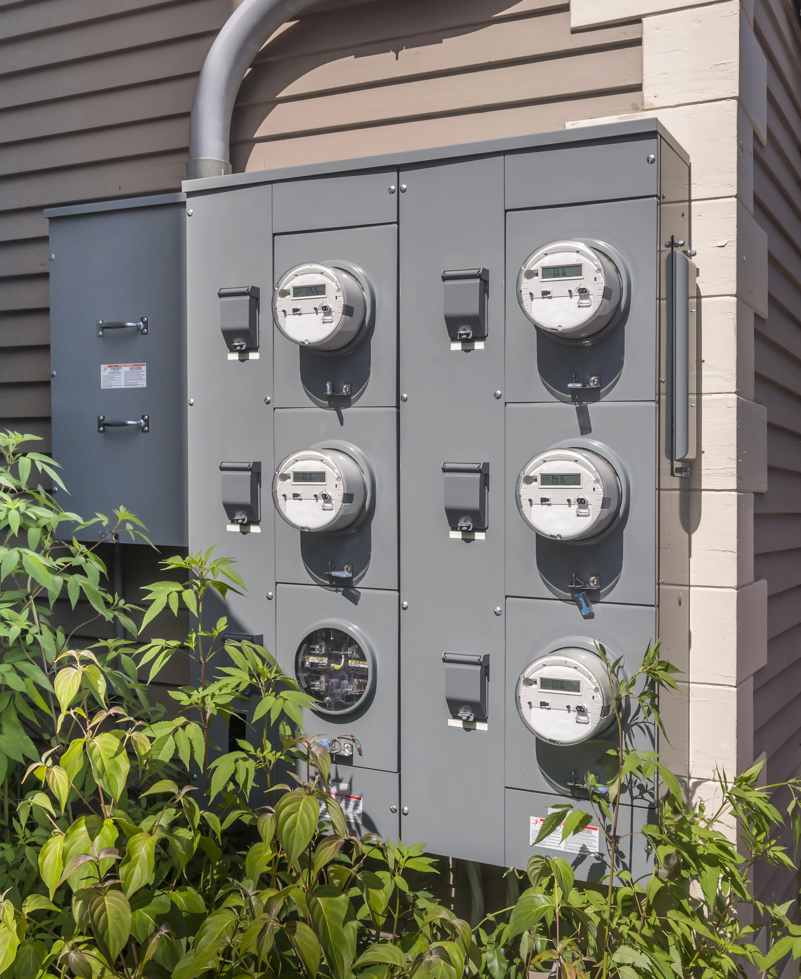 A wall-mounted panel with six electric meters surrounded by green foliage.